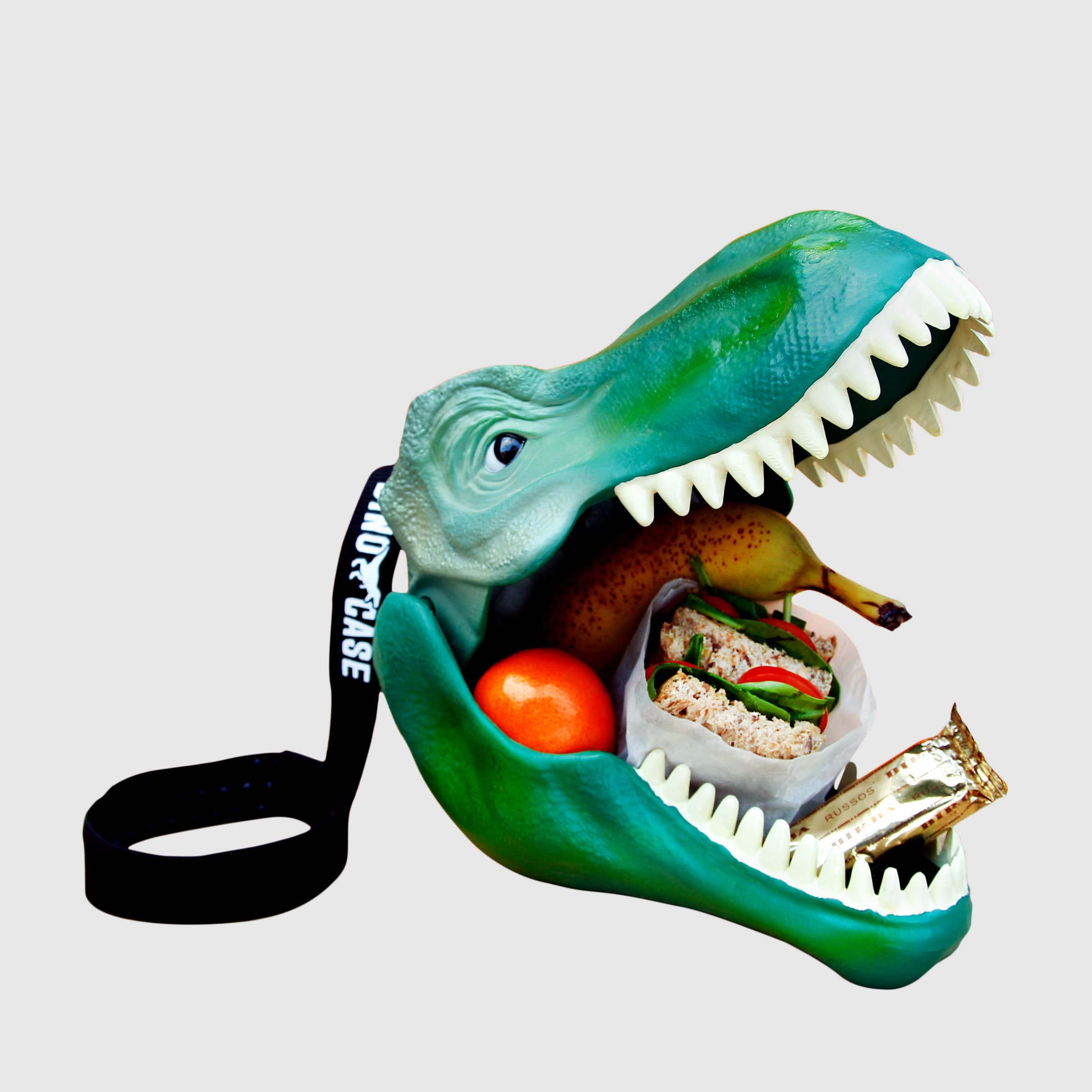 Dinosaur Lunchbox - T-Rex Explorer Design